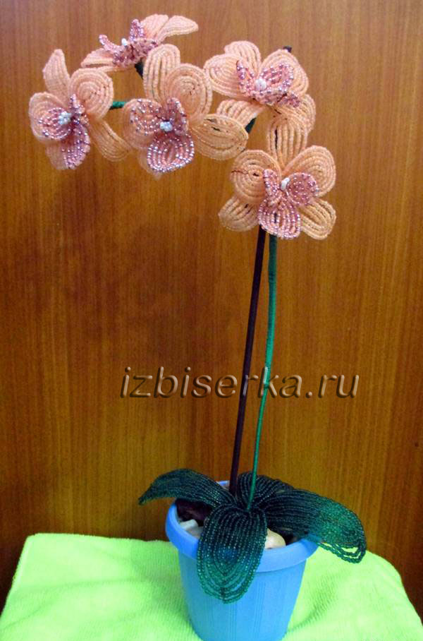Орхидея из бисера мастер-класс
