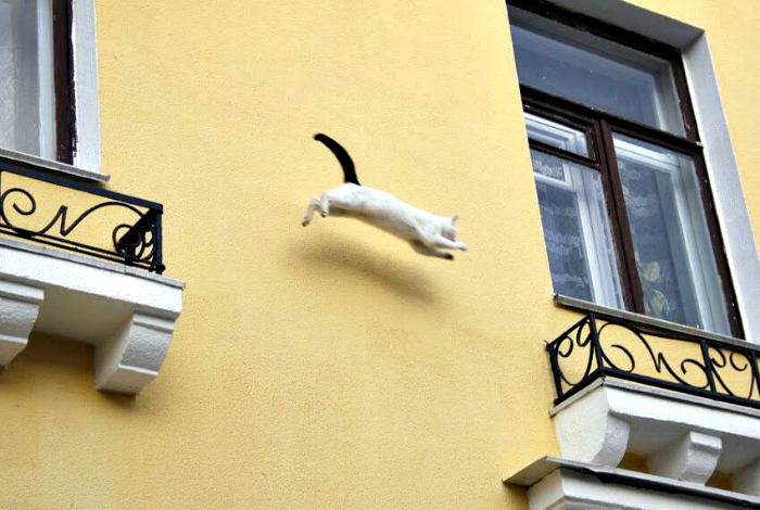 Весьма эпичные ситуации, удачно запечатленных на снимках веселые картинки