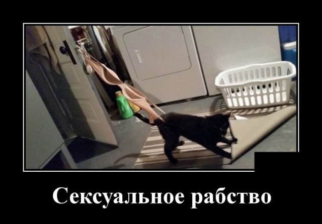 Зачетные и веселые демотиваторы для хорошего и позитивного настроения со смыслом демотиваторы свежие,приколы,смешные демотиваторы,юмор