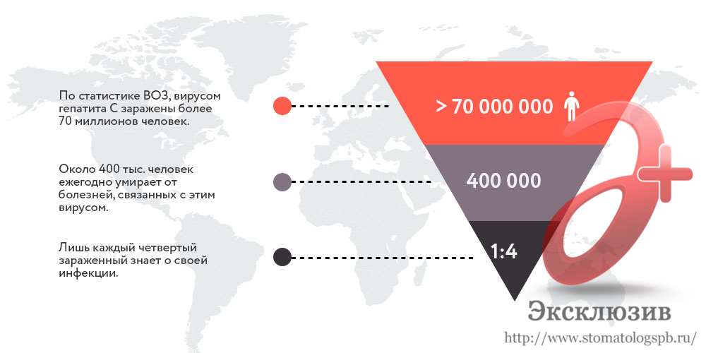 Гепатит С – все о заболевании простыми словами печени, гепатита, вируса, крови, печень, гепатитом, хронического, гепатит, лечения, анализ, больных, вирус, количество, может, передачи, вирусом, которые, человека, заболевания, пациента
