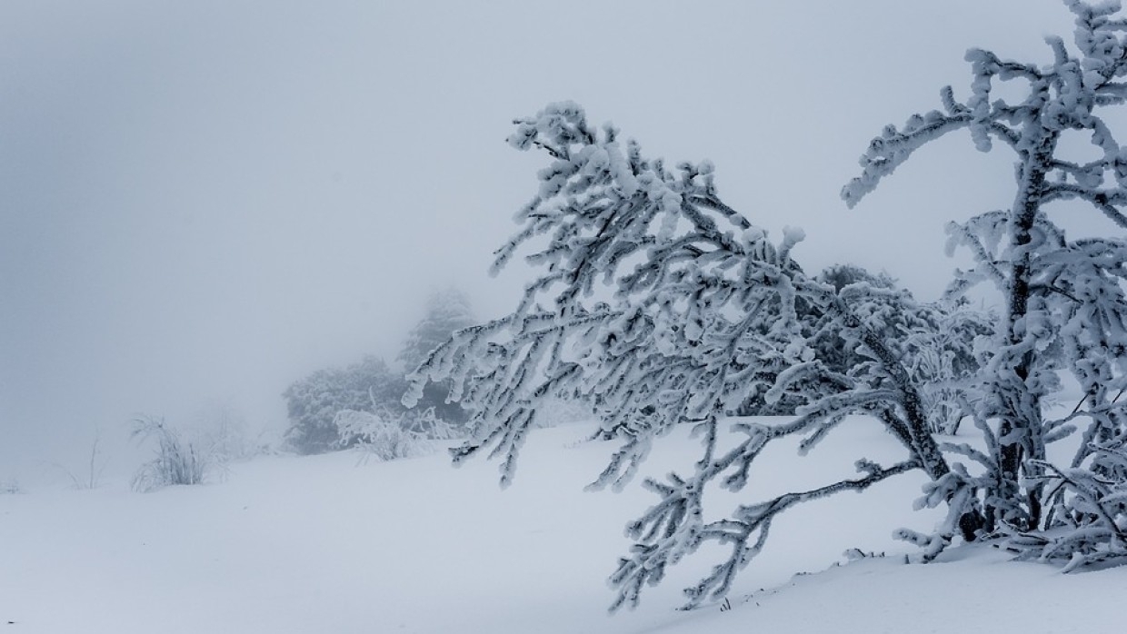 Метеоролог Яблоков предупредил россиян об изменчивости погоды предстоящей зимой