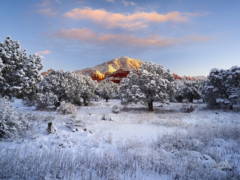 Кактусы в сугробах: в пустыне Аризоны выпал снег Кактусы в сугробах: в пустыне Аризоны выпал снег природа