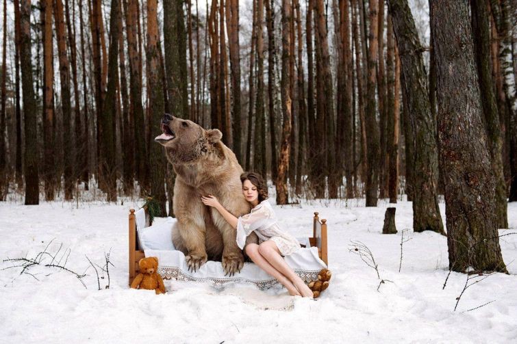 Фотографии моделей с 650-килограммовым медведем в заснеженном лесу медведь, фото