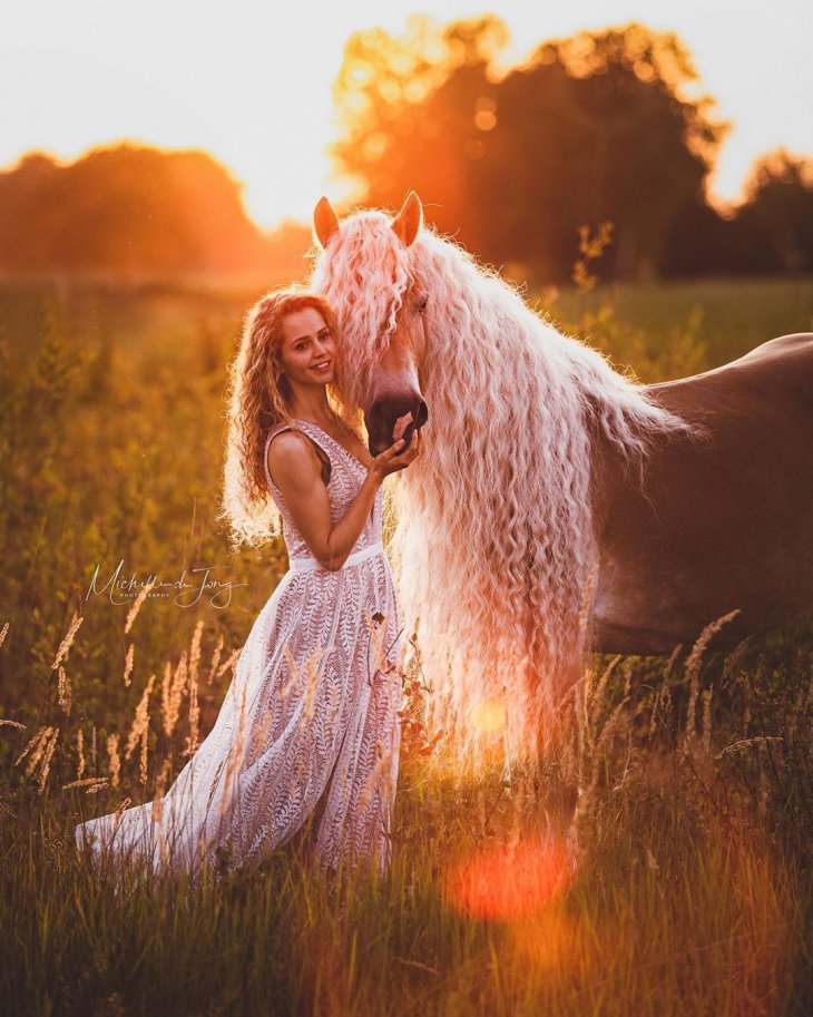 Шторм — сказочная лошадь Хафлингера Шторм — сказочная лошадь Хафлингера животные,природа