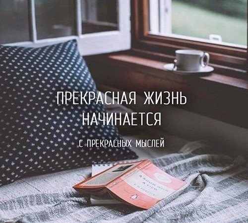 Солянка из классных фотографий и веселых картинок с надписью Солянка из классных фотографий и веселых картинок с надписью