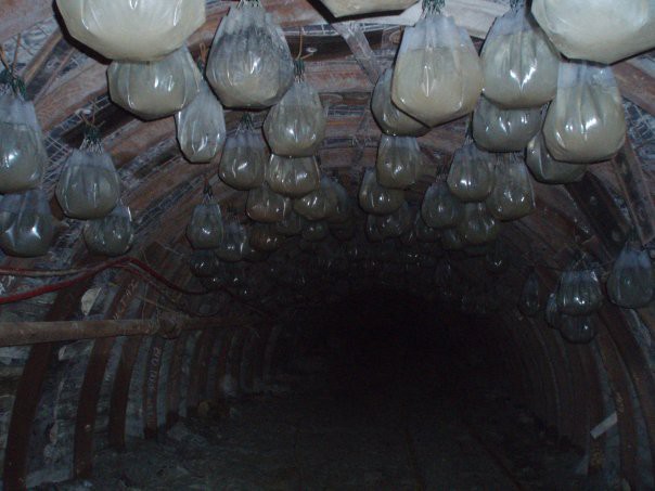Шахтерский юмор байки, шахтеры, юмор
