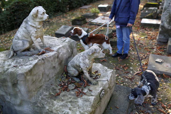 Кладбище собак архитектура,животные,интересное,кладбище,собаки