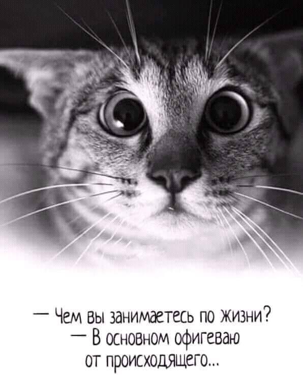 Кооператив 