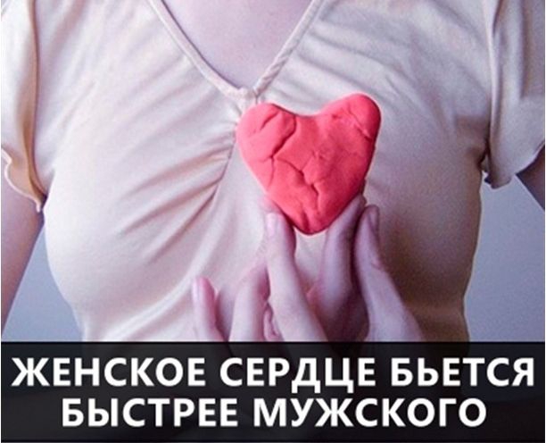 Удивительные факты в мире, факты