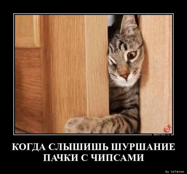 Демотиваторов пост: «Когда слышишь шуршание пачки с чипсами»