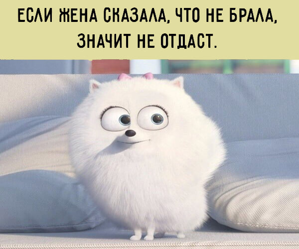 Сегодня я видел, как одна старушка помогала перейти через дорогу мальчику... вторую, когда, можно, перейти, расстрелять, Чубайса, Израилем, ситуация, такая, сейчас, смартфоне, игравшему, мальчику……, дорогу, через, привела, Чубайсто, старушка, видел, образованияСегодня