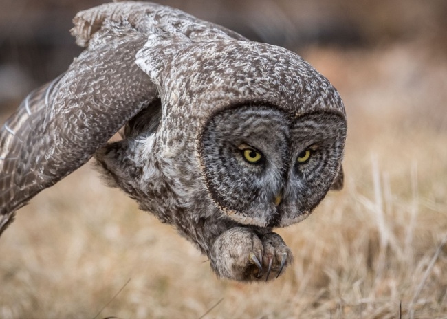 30 фотографий с конкурса National Geographic, которые доказывают, что наша планета — режиссер самого грандиозного шоу во Вселенной