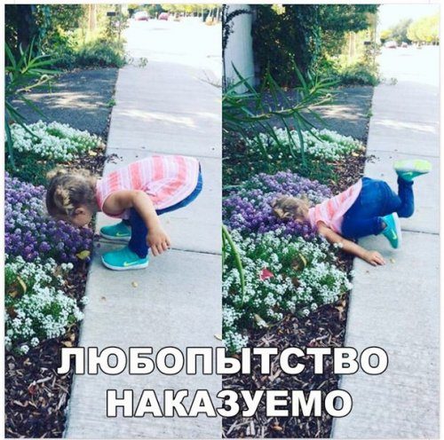 Приколы в фотомемах