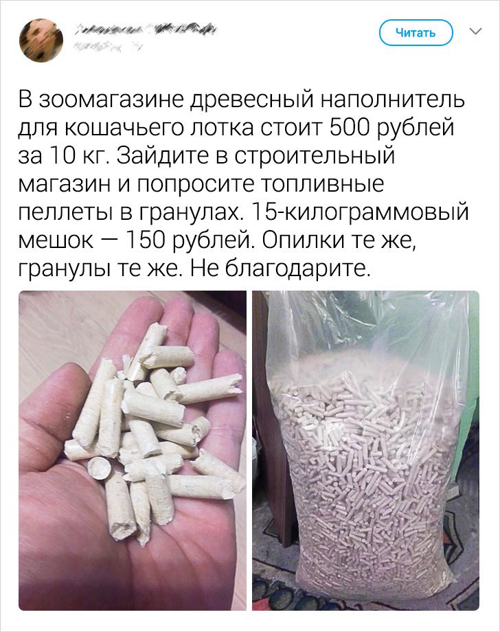 Без кота и жизнь не та Без кота и жизнь не та спасет, животное, спасёт, припёрсси , такую, свободу , хочет , режут, рядом, Потому, слезами , Горькими, плачет , Котэматрёшка Кот, лапки , пострадало , взгляда , планету , последний, Любовь