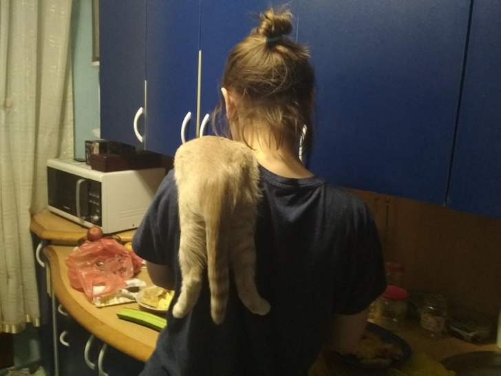 25 ,       .       