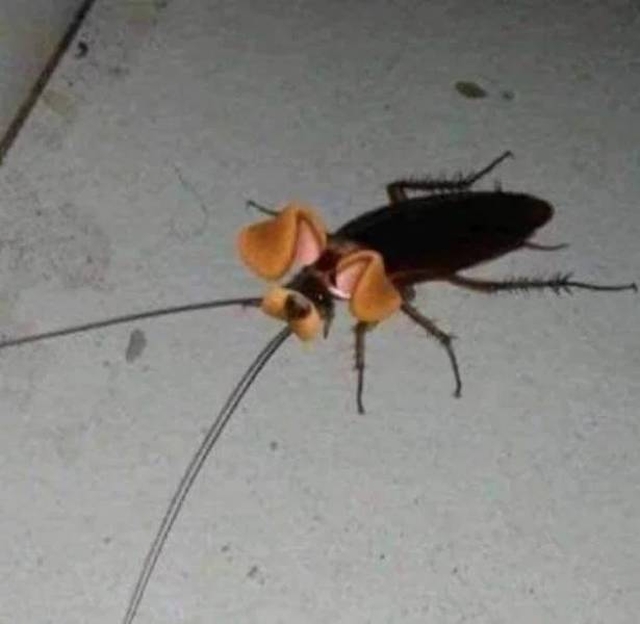 Что-то тут не так Что-то тут не так смешные картинки