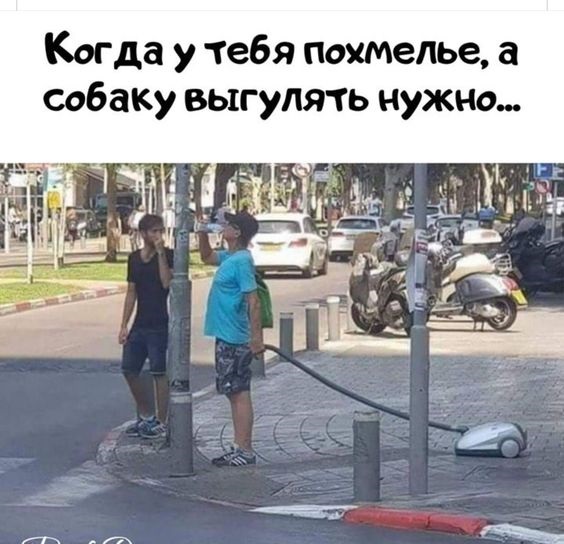 Свежая порция позитива 