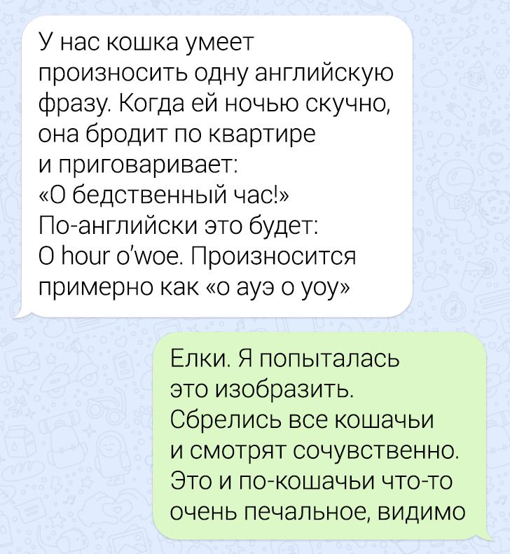 Без кота и жизнь не та Без кота и жизнь не та спасет, животное, спасёт, припёрсси , такую, свободу , хочет , режут, рядом, Потому, слезами , Горькими, плачет , Котэматрёшка Кот, лапки , пострадало , взгляда , планету , последний, Любовь