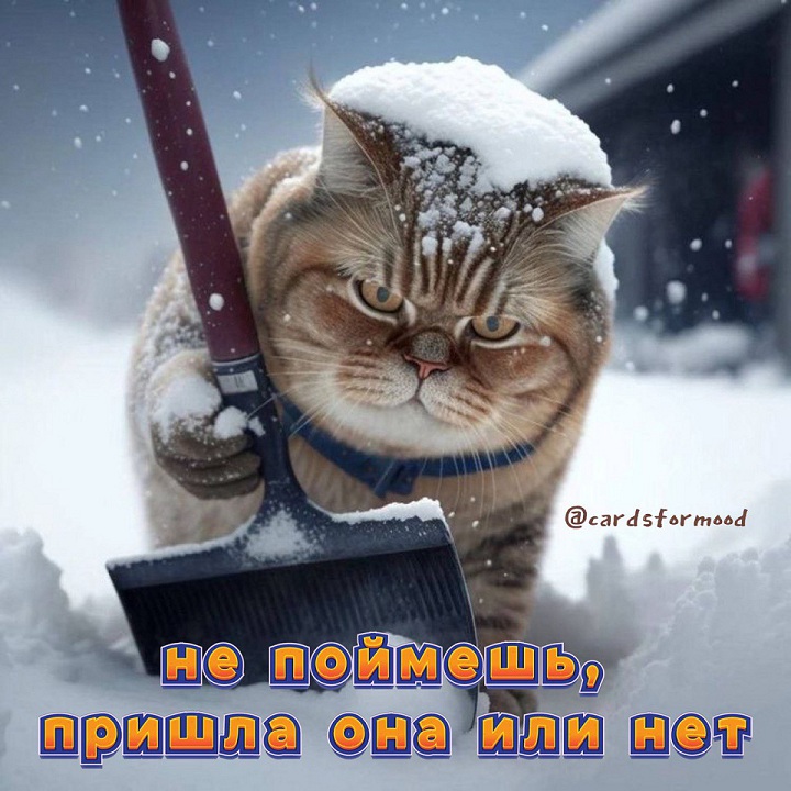 Свежая подборка веселых картинок с надписями 