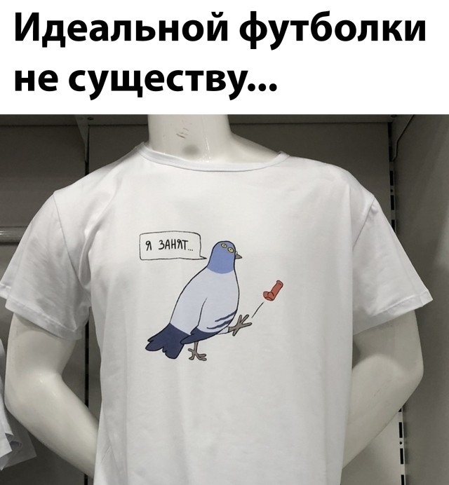 Яркие шутки, чтобы получить хорошее настроение 