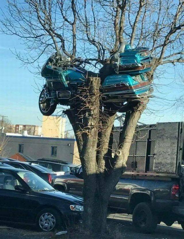 Вы думаете только у вас был плохой день? Вы думаете только у вас был плохой день? Отдых