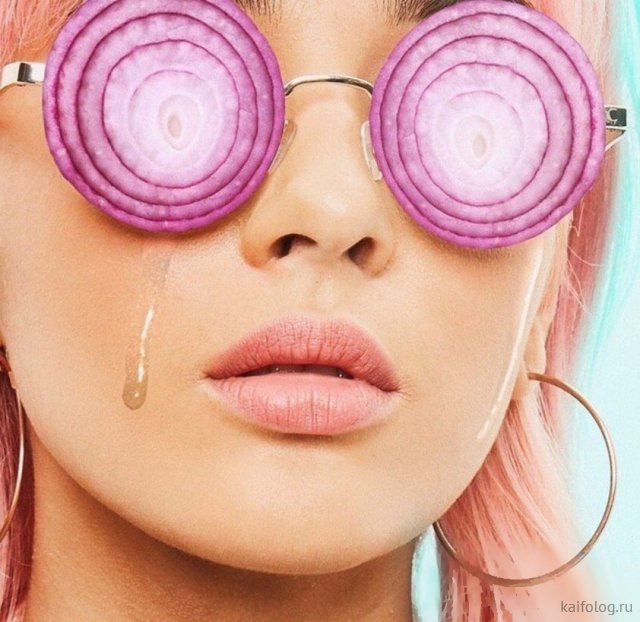 Приколы про лук Приколы про лук