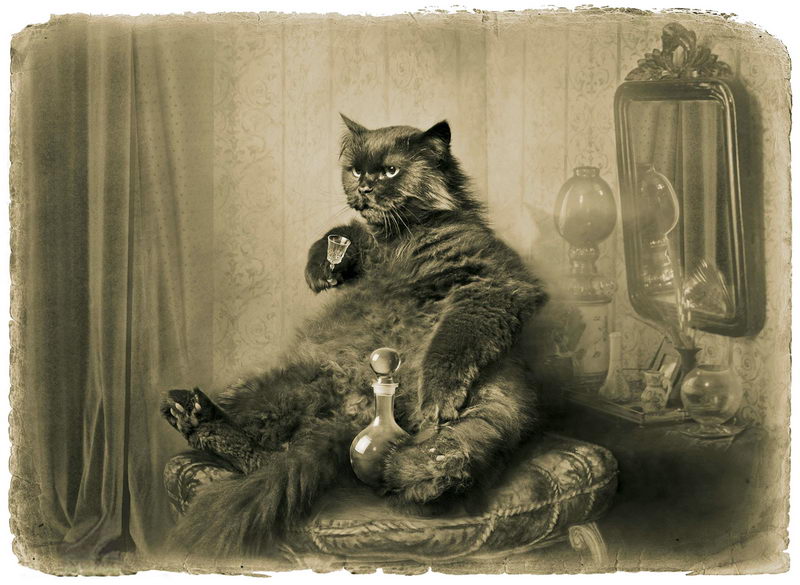 martynuk_kot_begemot_thumb