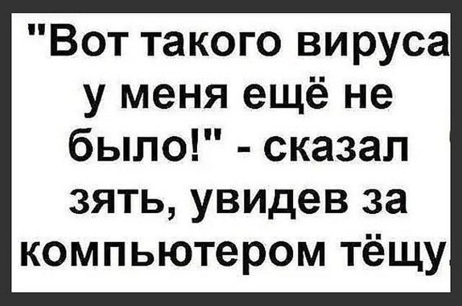 Смешная картинка зятю, открытки