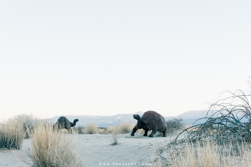 Anza-Borrego Springs-19.jpg