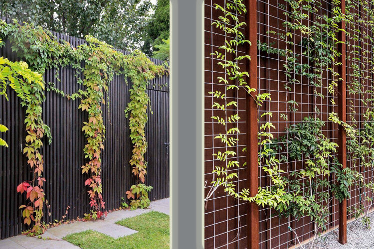 Как украсить забор из профнастила – 5 удачных вариантов для дома и дачи,идеи и вдохновение