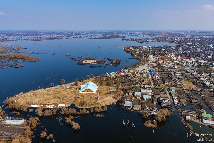 Глухое болото, говорите вы? Неописуемая красота, говорю я! Глухое болото, говорите вы? Неописуемая красота, говорю я! путешествие,туризм