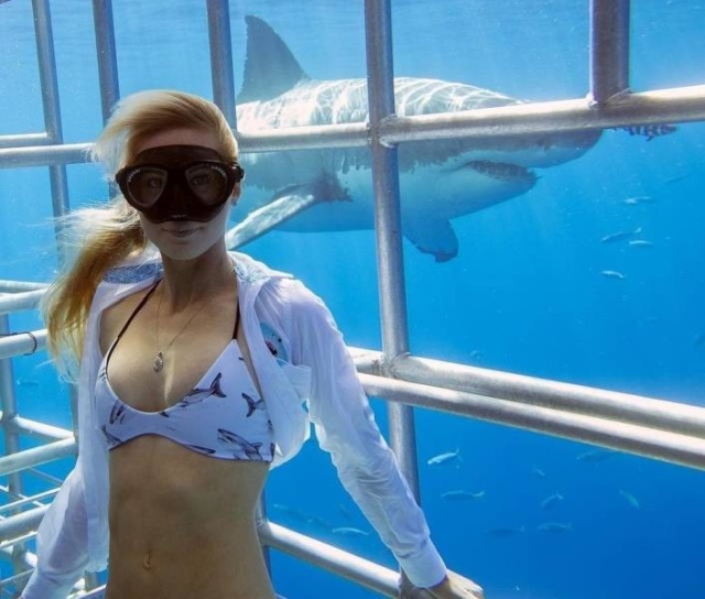 Подборка прикольных картинок Подборка прикольных картинок смешные картинки