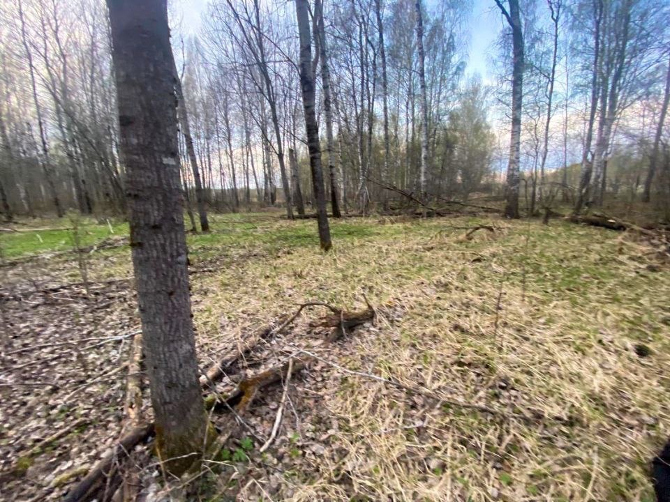 В Тверской области выясняют причину гибели найденного егерем мужчины