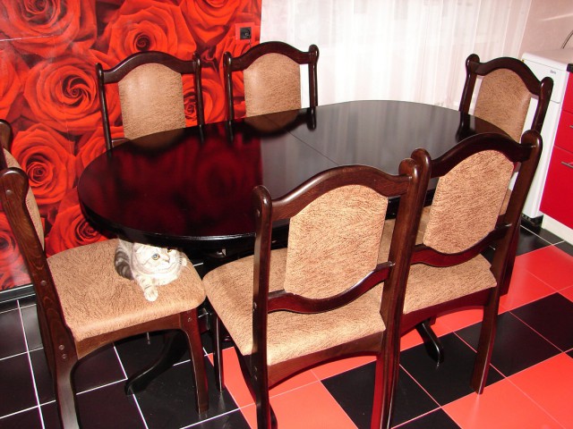 Кухня для жены. Ремонт - нескончаемый бой Кухня для жены. Ремонт - нескончаемый бой домашний очаг...