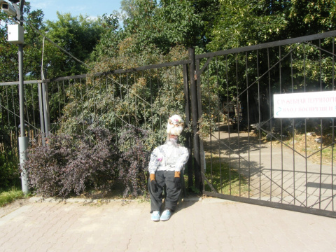 Большой розарий Сокольнического парка