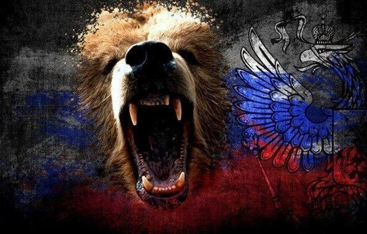 Картинки на телефон россия медведь, картинки