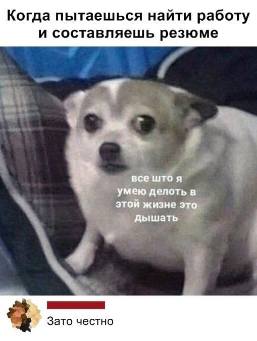 Прикольные картинки к началу рабочей недели Прикольные картинки к началу рабочей недели