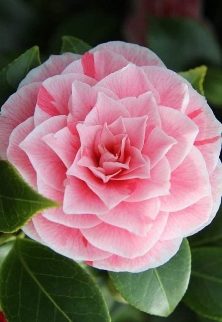 Отличная подборка юмора в картинках для поднятия настроения 