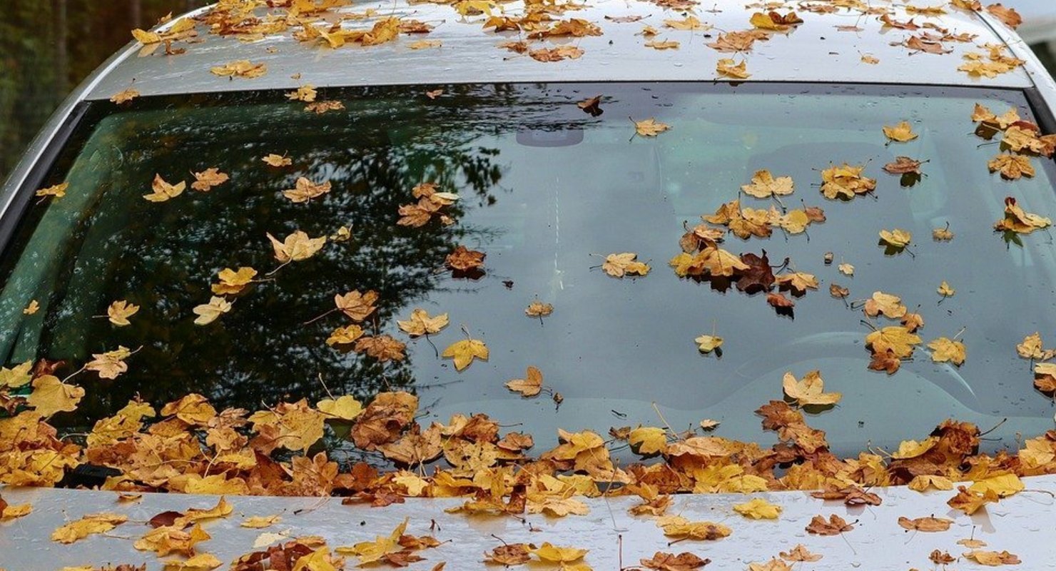 Что следует обязательно очистить под капотом авто с наступлением заморозков?