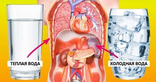 Что происходит, когда вы пьете холодную воду вода,здоровье,питание