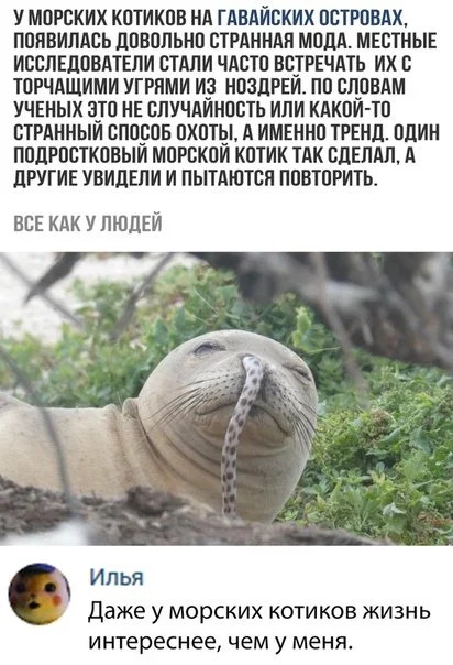 Острые комментарии, которые, как соус, делают пост еще пикантнее Острые комментарии, которые, как соус, делают пост еще пикантнее