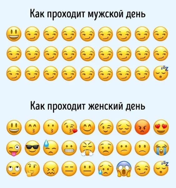 Яркие шутки, чтобы получить хорошее настроение 