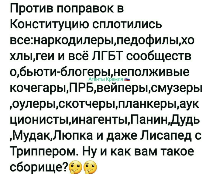 О пакете поправок в Конституцию и о «ценном мнении» диванных максималистов