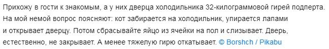Без кота и жизнь не та Без кота и жизнь не та спасет, животное, спасёт, припёрсси , такую, свободу , хочет , режут, рядом, Потому, слезами , Горькими, плачет , Котэматрёшка Кот, лапки , пострадало , взгляда , планету , последний, Любовь