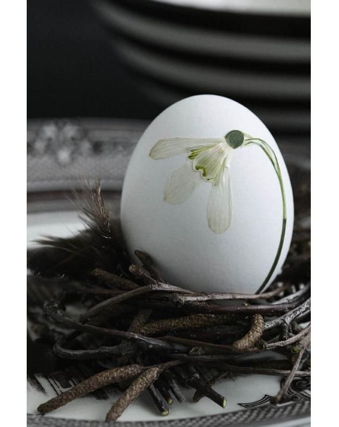 �����: ���� ��� ��������� ���� � ���������� �����