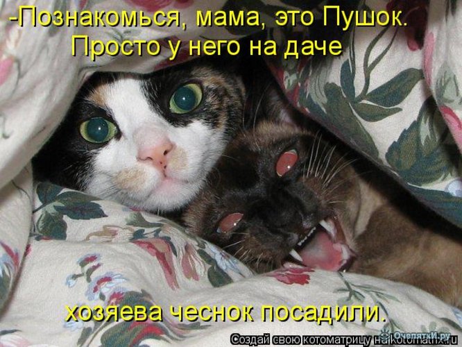 Открытка с подписью не смешно