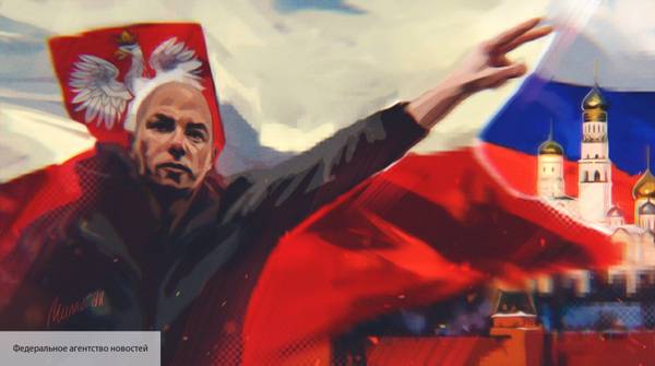 Миронов осадил польского политика, который рассказал об преступлениях русских против мигрантов