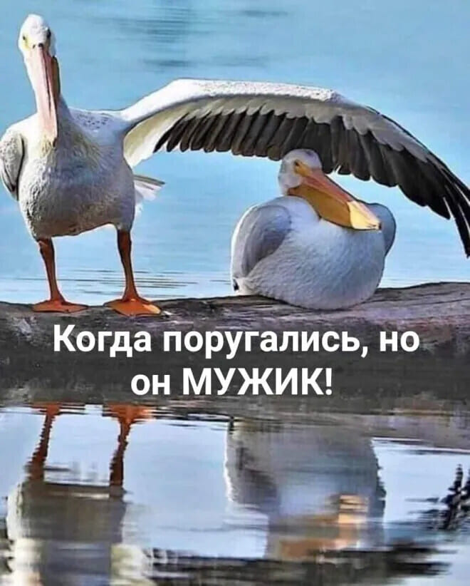 Юмор из интернета 650 позитив,смех,улыбки,юмор