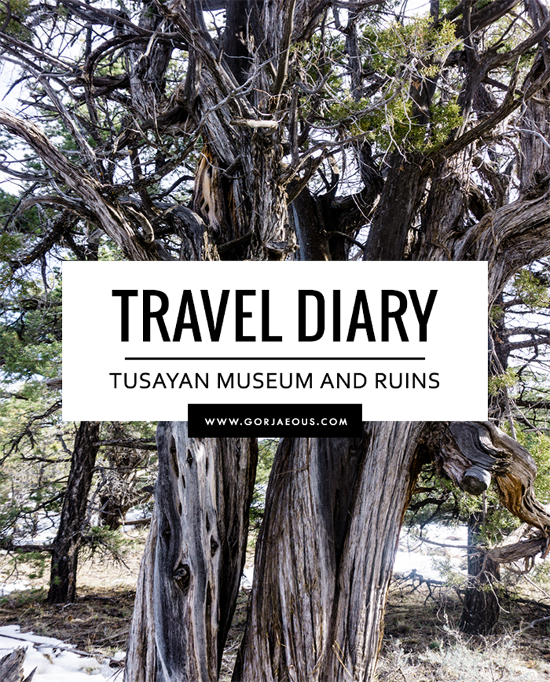 Travel Diary: Tusayan Museum and Ruins | SCATTERBRAIN