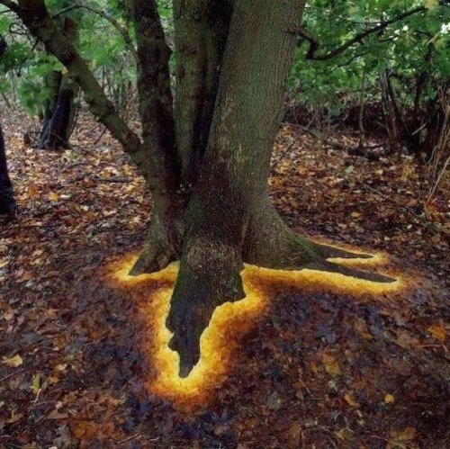 23 фотографии, которые доведут вас до визуального экстаза 23 фотографии, которые доведут вас до визуального экстаза